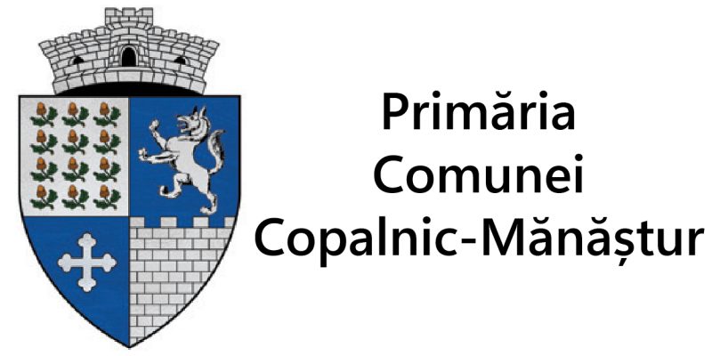 Copalnic-01