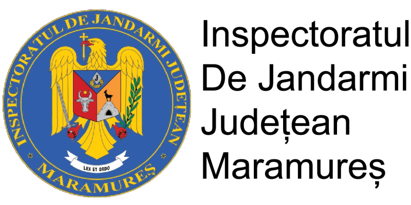 IJJ_Logo